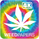 Weed Papers 4K APK