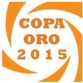 Copa Oro 2015 For Android Apk Download