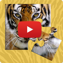 Puzzles Safari Animals APK