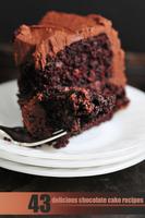 Chocolate cake recipes poster