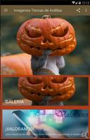 Imagenes Tiernas De Ardillas Poster