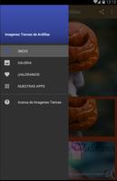 Imagenes Tiernas De Ardillas captura de pantalla 1