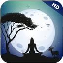 Calming Sounds Meditation Musi APK