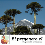 El Pregonero Diario
