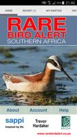 Rare Bird Alert Affiche