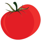Tomato icône