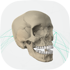 EOC Cranium أيقونة