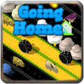 Going Home