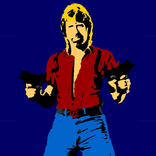 Chuck Norris Jokes & Facts