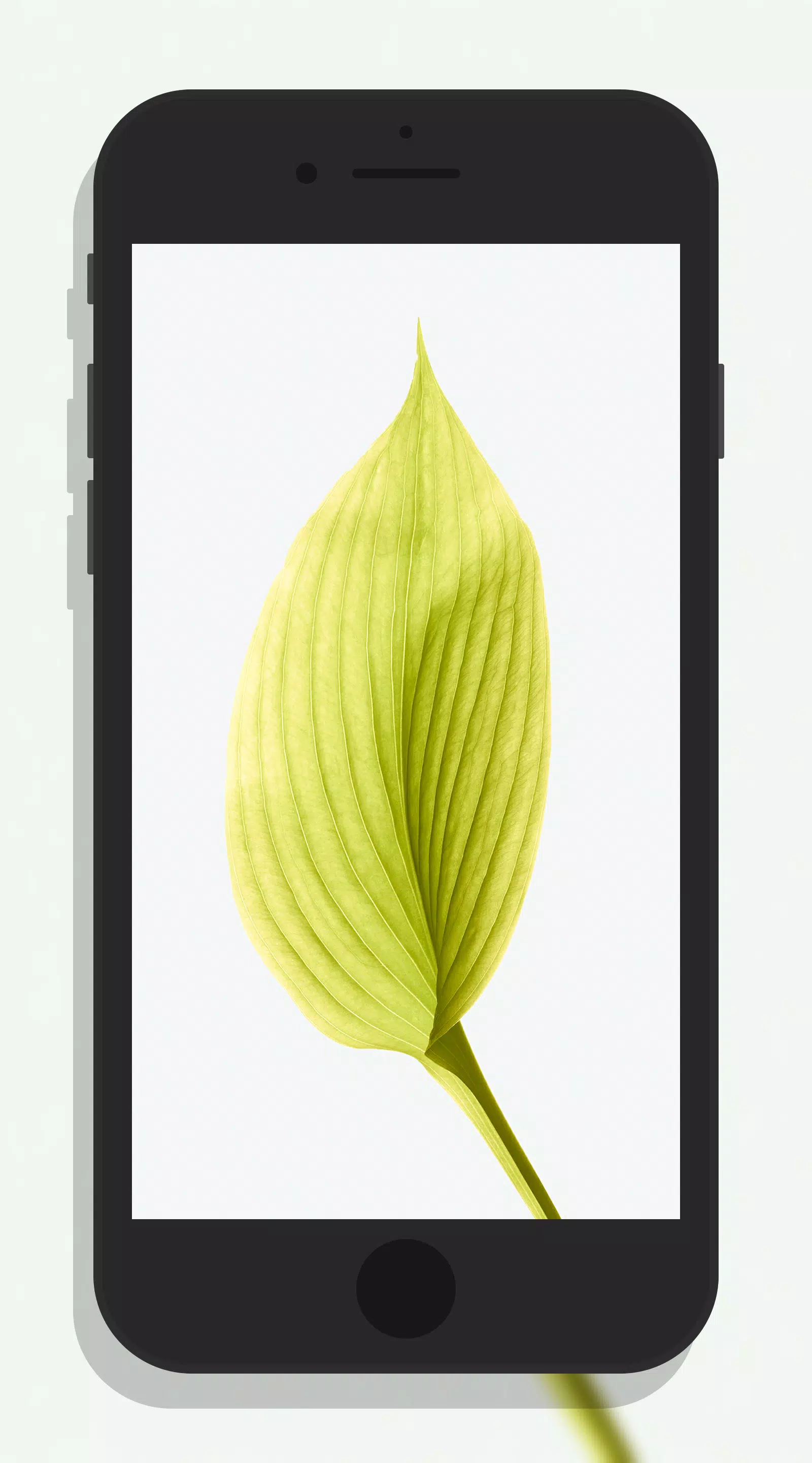 下载iphone 8高清壁纸的安卓版本