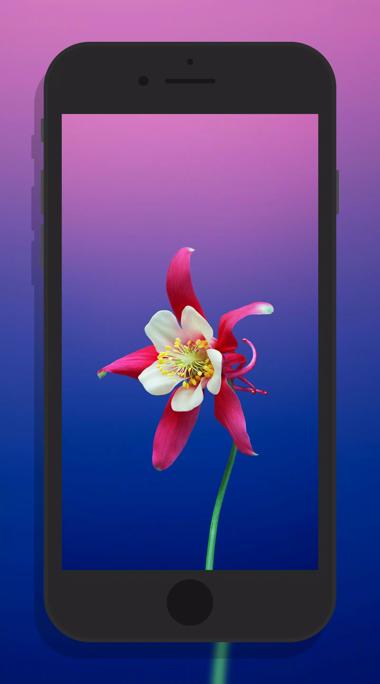 下载iphone 8高清壁纸的安卓版本