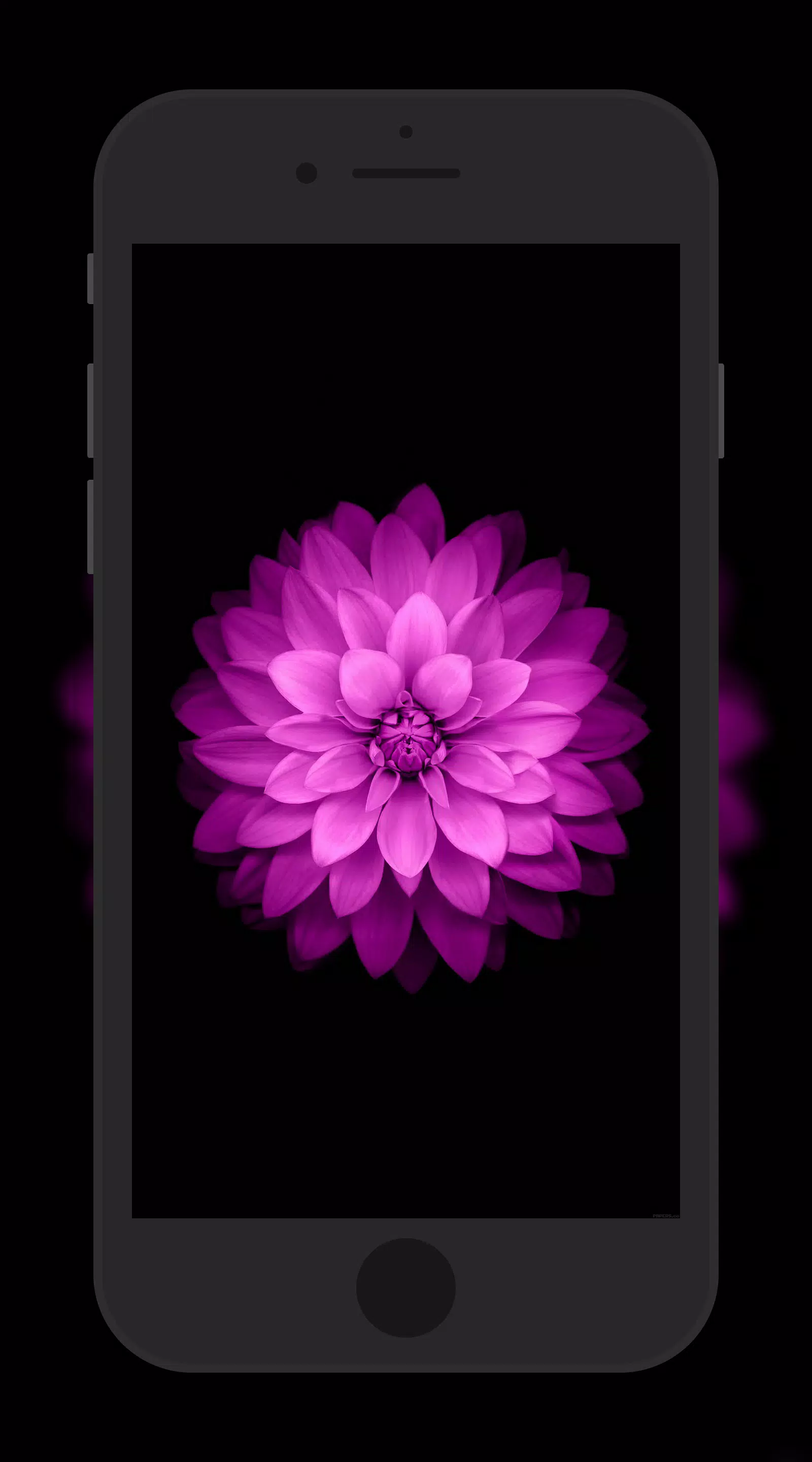 下载iphone 8高清壁纸的安卓版本