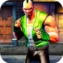 Crazier Street Fighter Hero APK