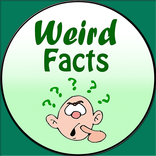Weird Facts