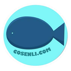 Cosenli - online shop icône