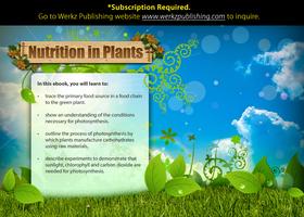 Nutrition in Plants poster
