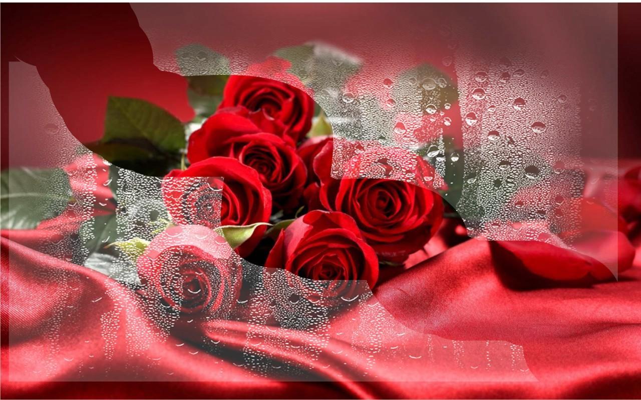 Love Roses Gift live wallpaper APK pour Android Télécharger Love Roses Gift live wallpaper APK pour Android Télécharger