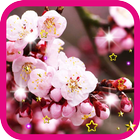 Pink Flowers live wallpaper আইকন