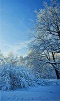 Snow Day 3D live wallpaper 截图 2