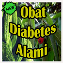 Obat Diabetes Alami Mujarab. APK