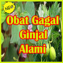 Obat Ginjal Alami Manjur. APK