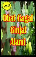 Obat Ginjal Alami Manjur. পোস্টার