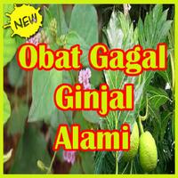 Obat Ginjal Alami Manjur. স্ক্রিনশট 1