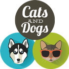 Cat and Dog Match Link أيقونة