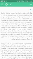 سگ تصوير الشاشة 1