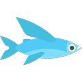 Fish Swimming