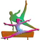 APK Gymnast Companion