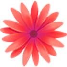 flower flick icon