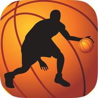 GAME BASKETBALL 3D 2016 capture d'écran 2