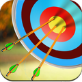 Archery Challenges