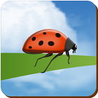 Bug on Grass icon