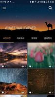 WHAFF WALLPAPERS پوسٹر