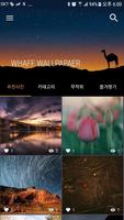 WHAFF WALLPAPERS Affiche