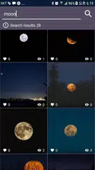 WHAFF WALLPAPERS APK download