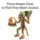 Spirit animal APK
