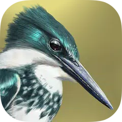 iBird Lite Free Guide to Birds XAPK Herunterladen