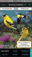 iBird Yard Plus Guide to Birds پوسٹر