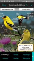 iBird Yard Plus Guide to Birds poster