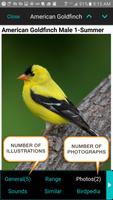iBird Yard Plus Guide to Birds اسکرین شاٹ 2