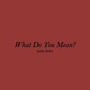 What Do You Mean Lyrics APK