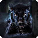 Panther Family Simulator 3D APK