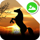 Horses Messenger Wallpaper APK