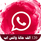 حالات واتس اب فيديو, صور حالات واتس بنات icon