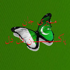 Meri Jan Pakistan Dil Dil иконка