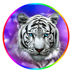 White Tiger Purple Theme-icoon
