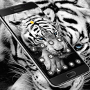 White Wild Tiger Theme APK